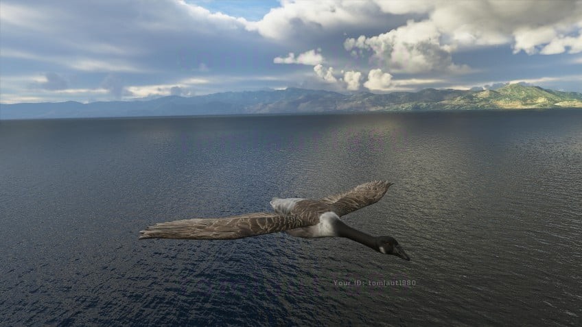 1593997612_microsoft-flight-simulator-sc8.jpg